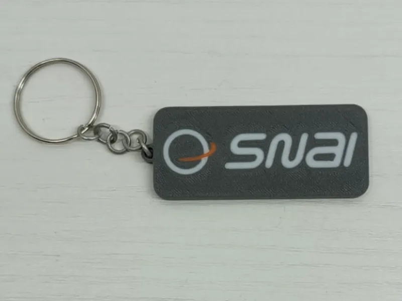 snai keychain