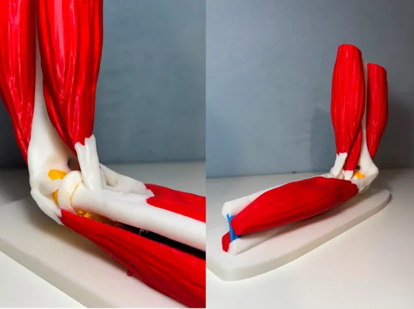 https://makerworld.bblmw.com/makerworld/model/US36da36b015a35/design/62dda072973fcfa8.png