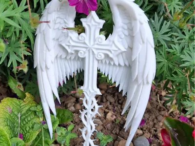 angels wings