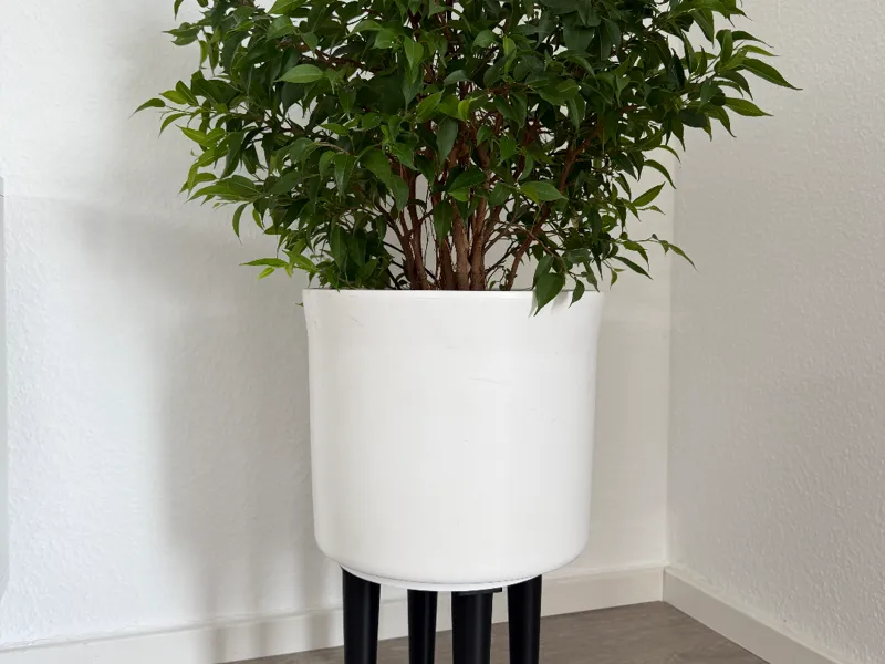 Pflanzenständer / Plant stand / Universal stand