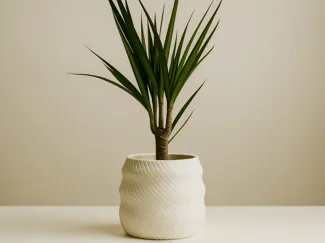 Vase design plante IKEA