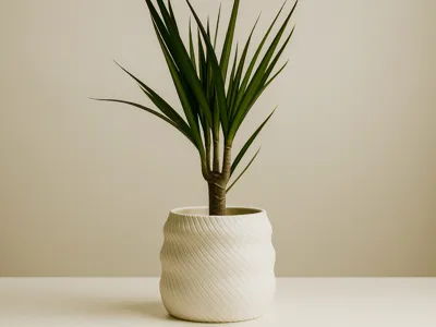 IKEA Plant Design Vase