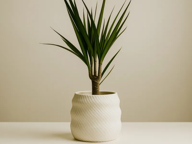 Vase design plante IKEA