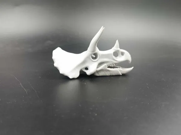 https://makerworld.bblmw.com/makerworld/model/US36de17b3fad1c/design/2025-04-19_de7265295511a8.jpg