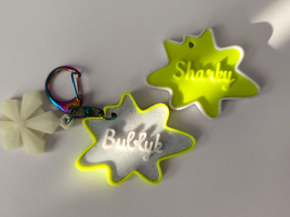 Personalized Pet Tag – Clean Multicolor (No AMS)