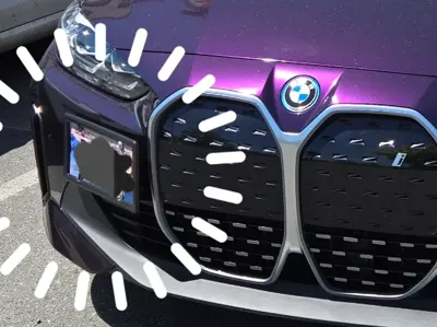 Sport License Plate Holder