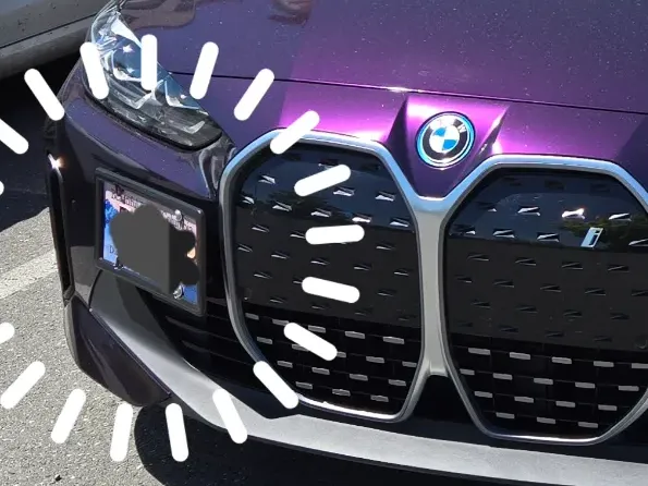 Sport License Plate Holder