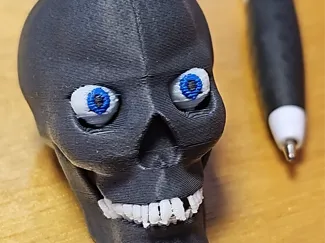 Skull