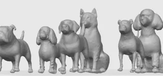 The Dog Pound
