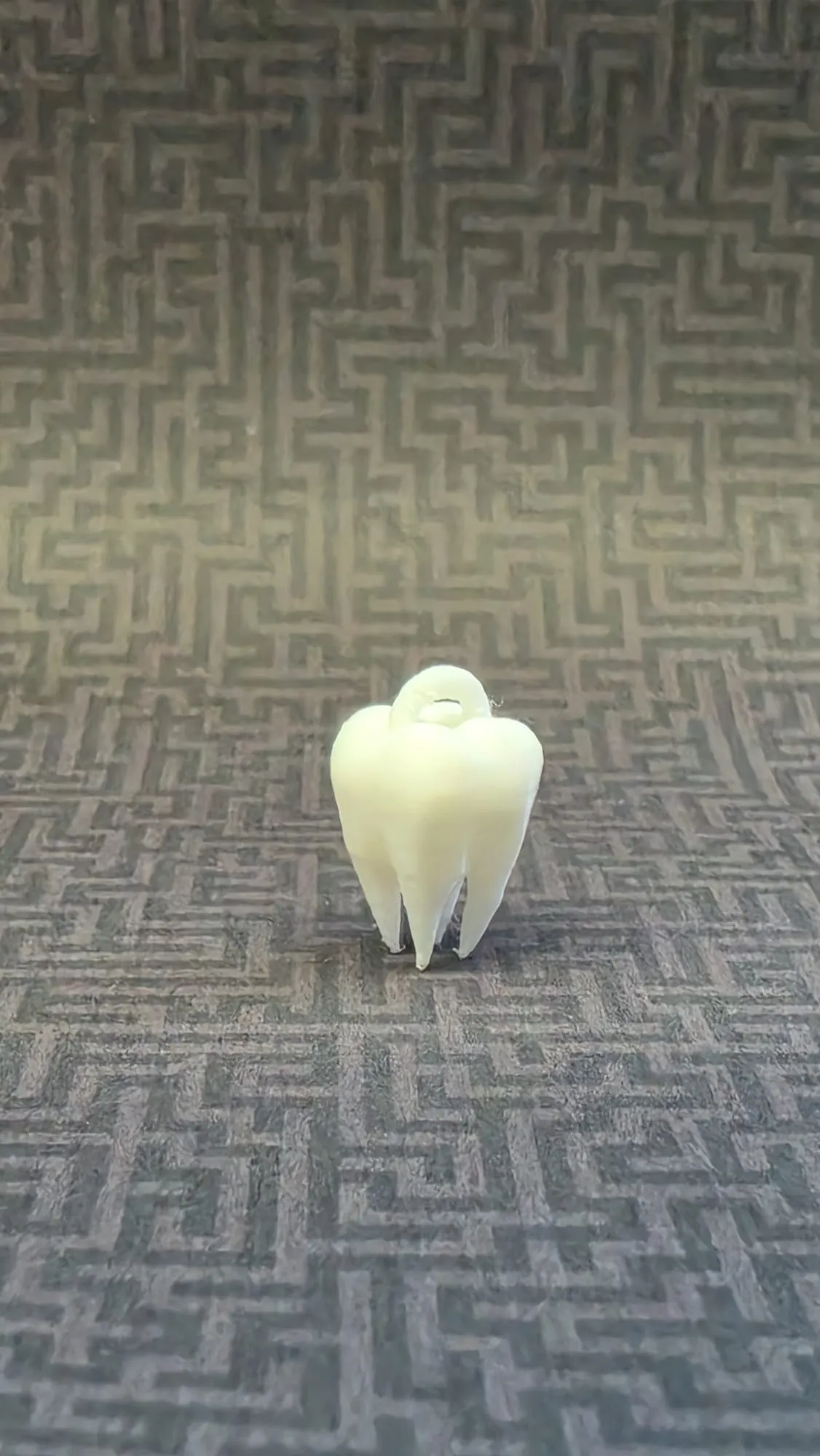 Tooth Earring view 4