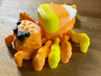 Candy Corn Jumping Spider