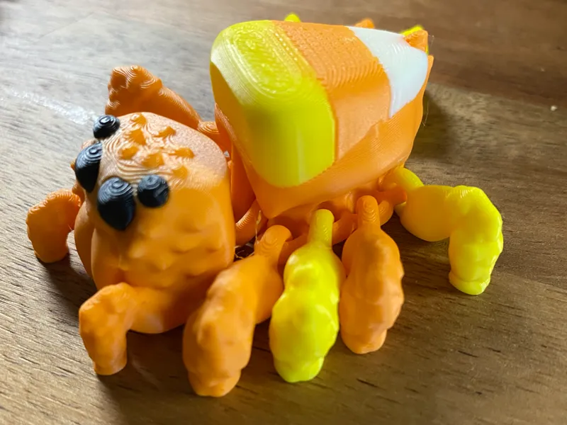 Candy Corn Jumping Spider