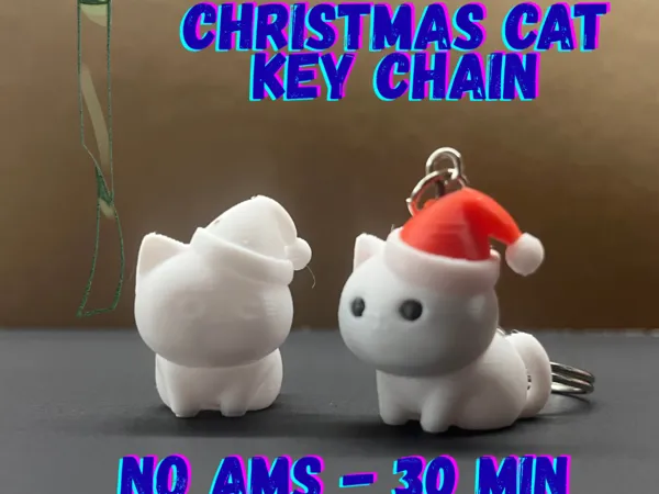 https://makerworld.bblmw.com/makerworld/model/US36fbba0f44c107/design/2025-11-27_62ecc6a1cf21f.png