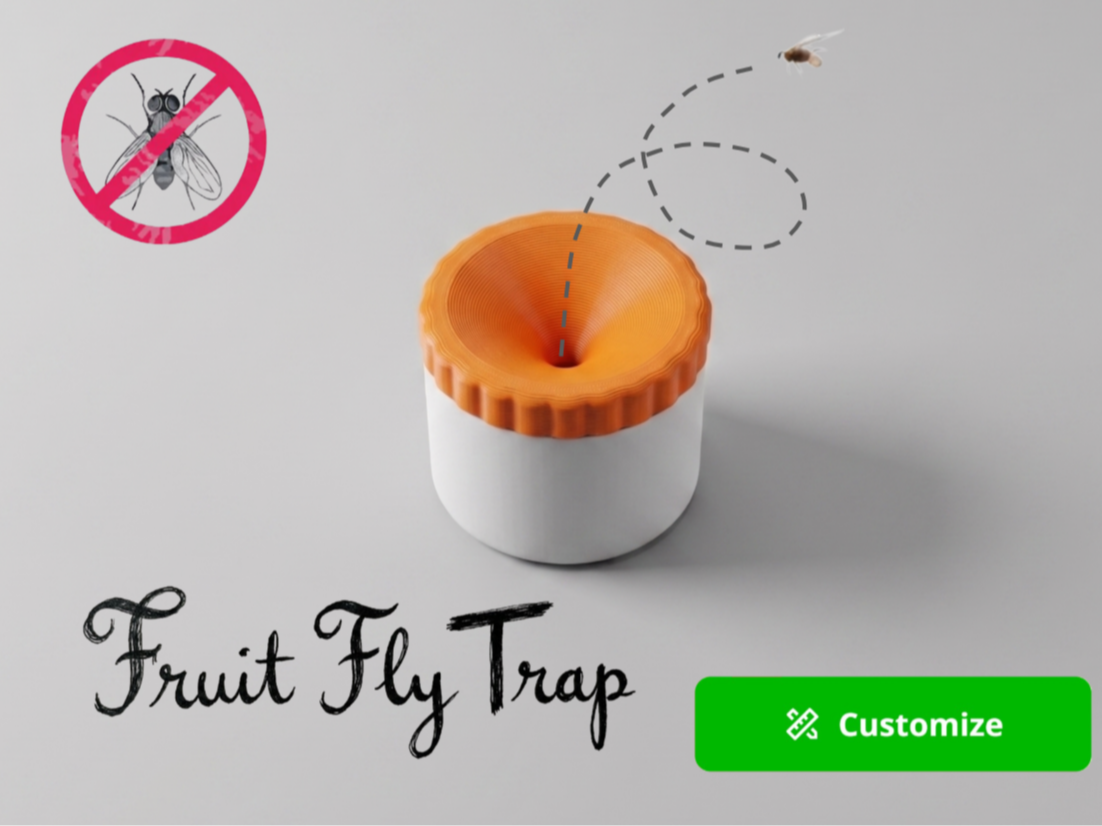 Customizable Fly Trap - 1