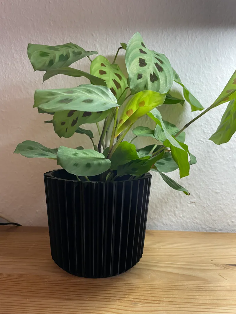 Flower Pot Geared