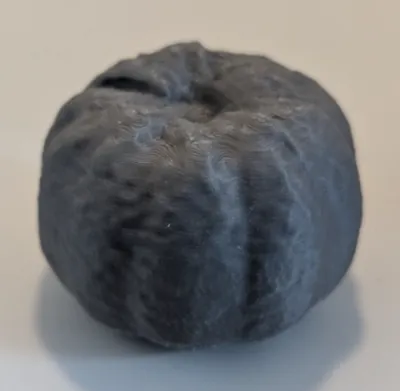 Scan of a pumpkin