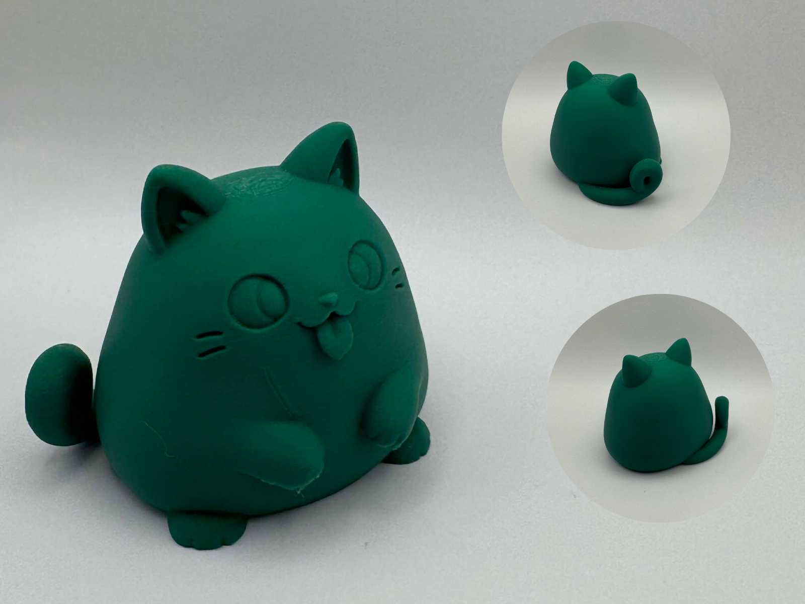 Goofy Fat Cat – Silly Chubby Kitty