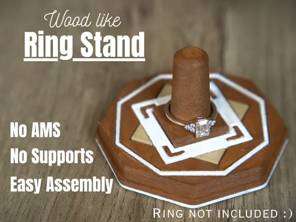 https://makerworld.bblmw.com/makerworld/model/US37135d79147e7f/design/2025-11-15_d72f7d16805478.jpg