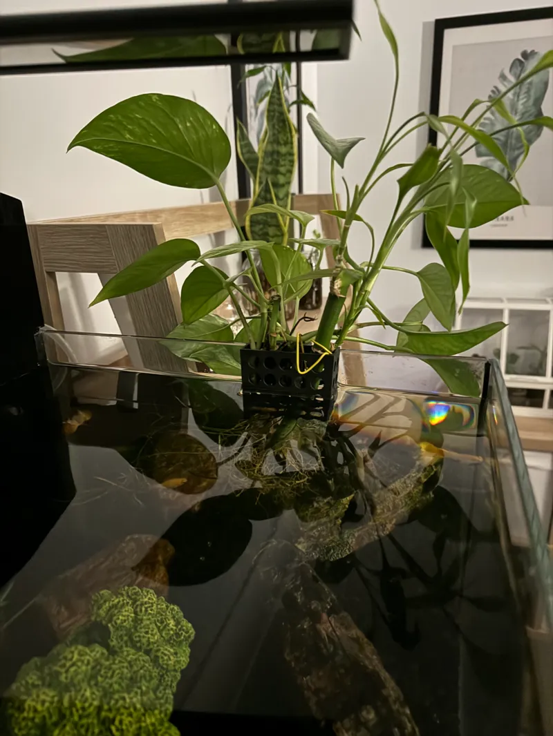 Planter Box for Aquarium