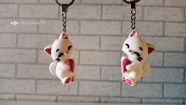 Flexi Magnet Cat