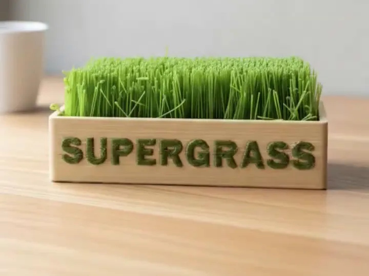 SD Card & USB Organizer - SuperGrass Stringing