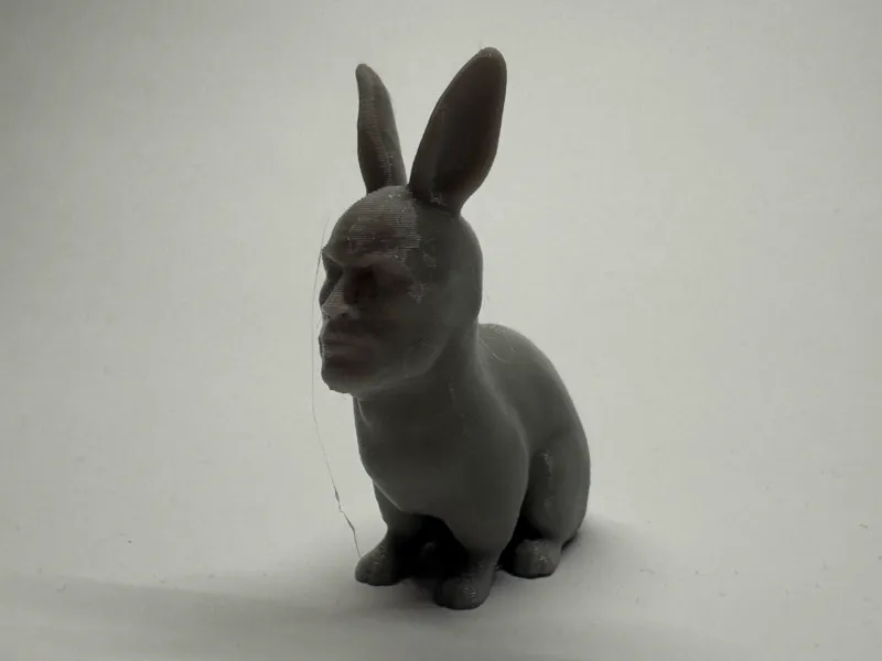 Easter bunny The Rock