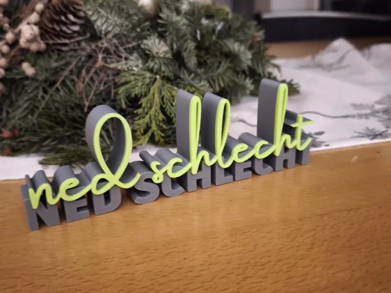 ned schlecht
