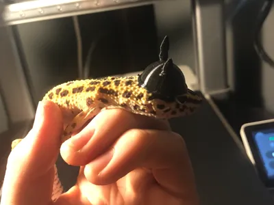 Little Viking Helmet for Little Critters