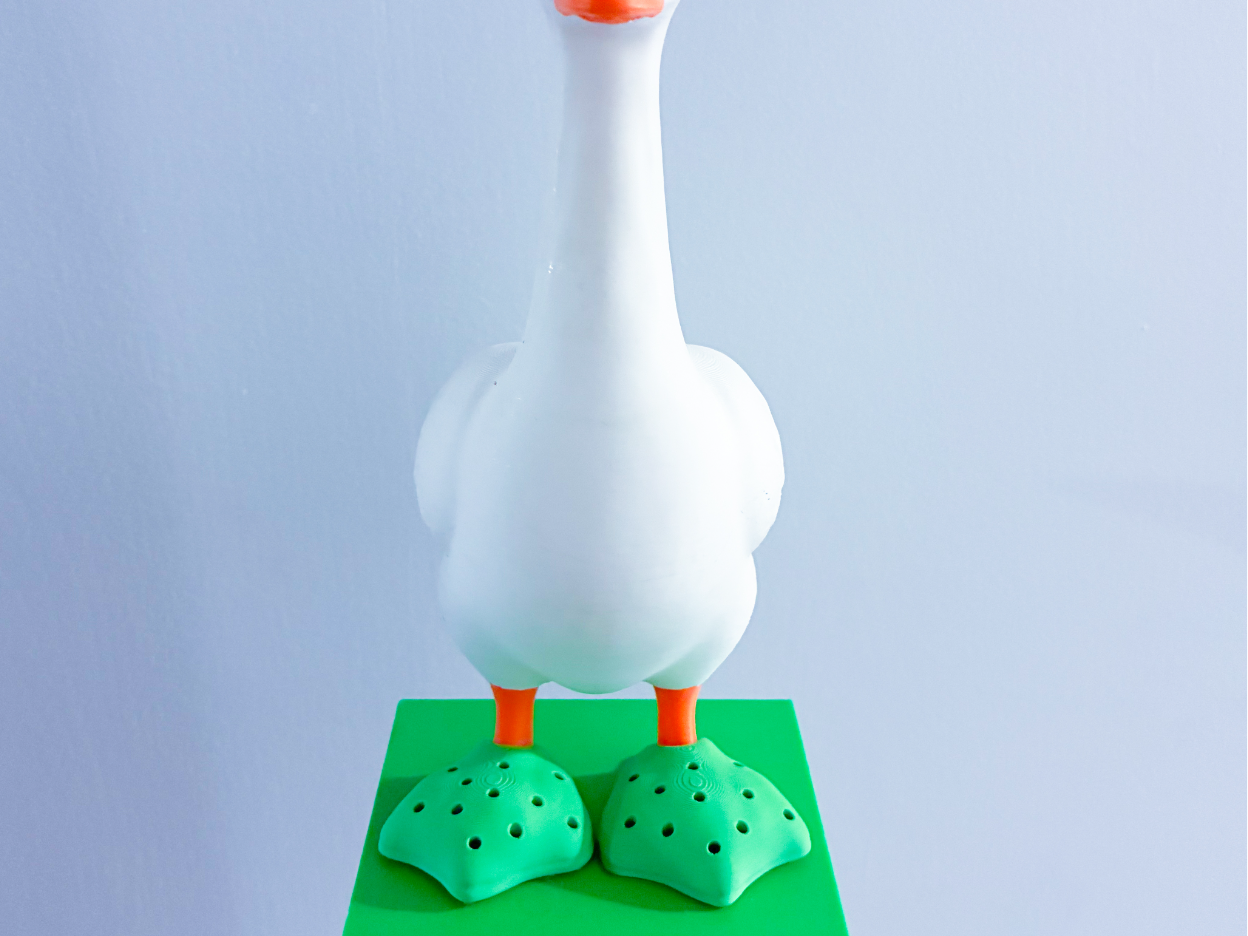 EVA Clog Style Shoes Desk Goose Gear - 1