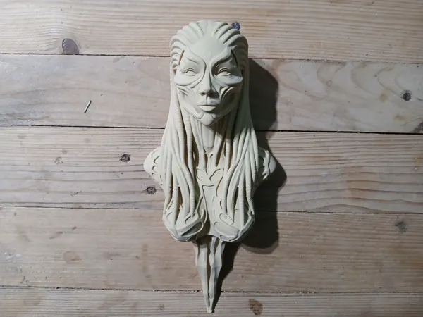 https://makerworld.bblmw.com/makerworld/model/US371d0a3d105dd/design/9dd8b5f8c20e1f30.jpg