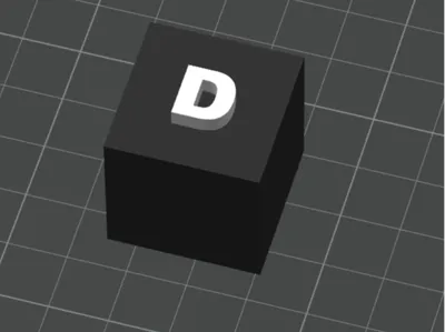 SEAL D
