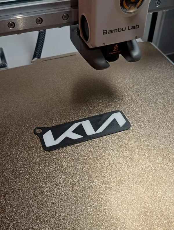 https://makerworld.bblmw.com/makerworld/model/US37237302b9da2/design/2024-12-15_7c905e97fa6878.jpg