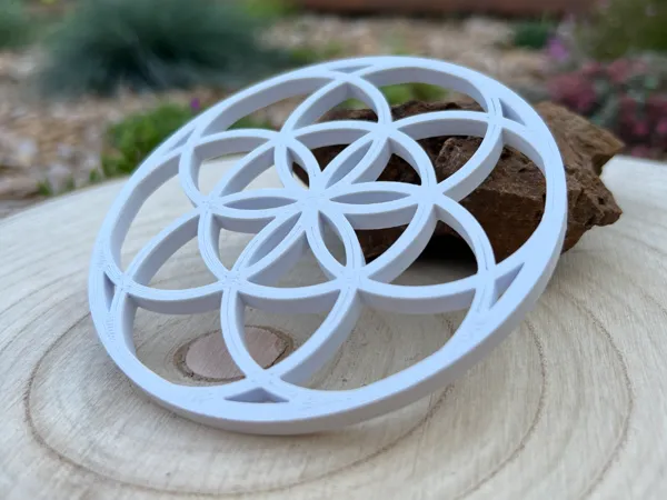 https://makerworld.bblmw.com/makerworld/model/US3723b05de4d969/design/2024-11-24_74e38512c860e.jpg