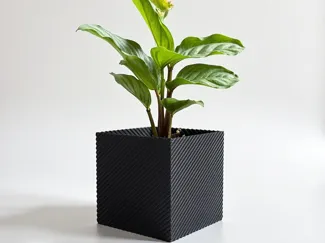 Vase / Flower Pot and Planter for Plants Flowerpot