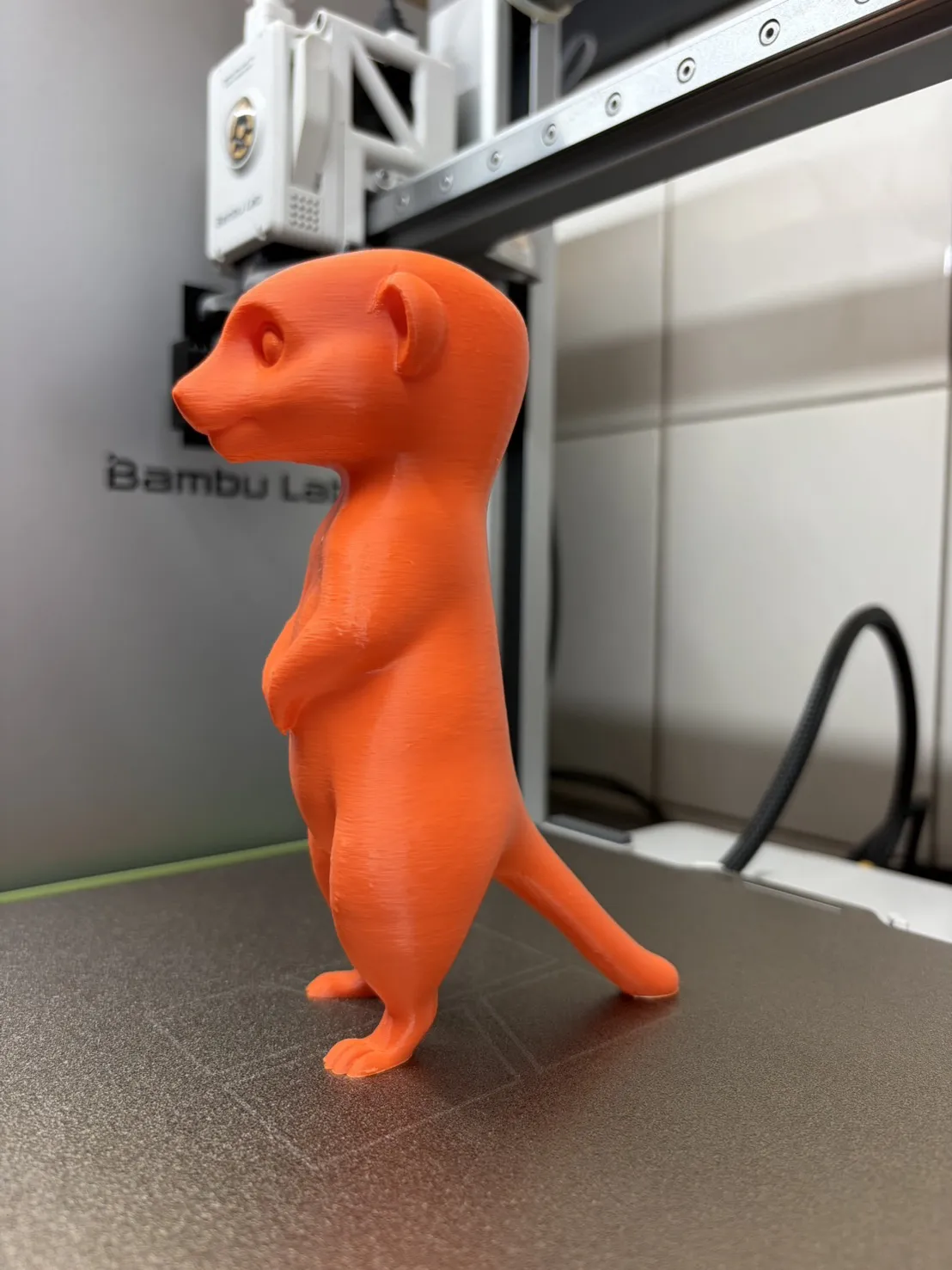 纹理小狐獴 Cute Meerkat Figurine view 4