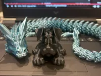 Mignon Schnauzer miniature — photo 2