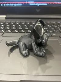 Mignon Schnauzer miniature — photo 6