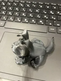 Mignon Schnauzer miniature — photo 5