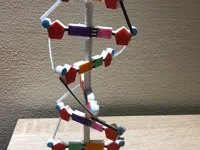 Modèle de molécule d'ADN pédagogique — photo 1