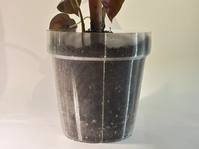 Clear Vase