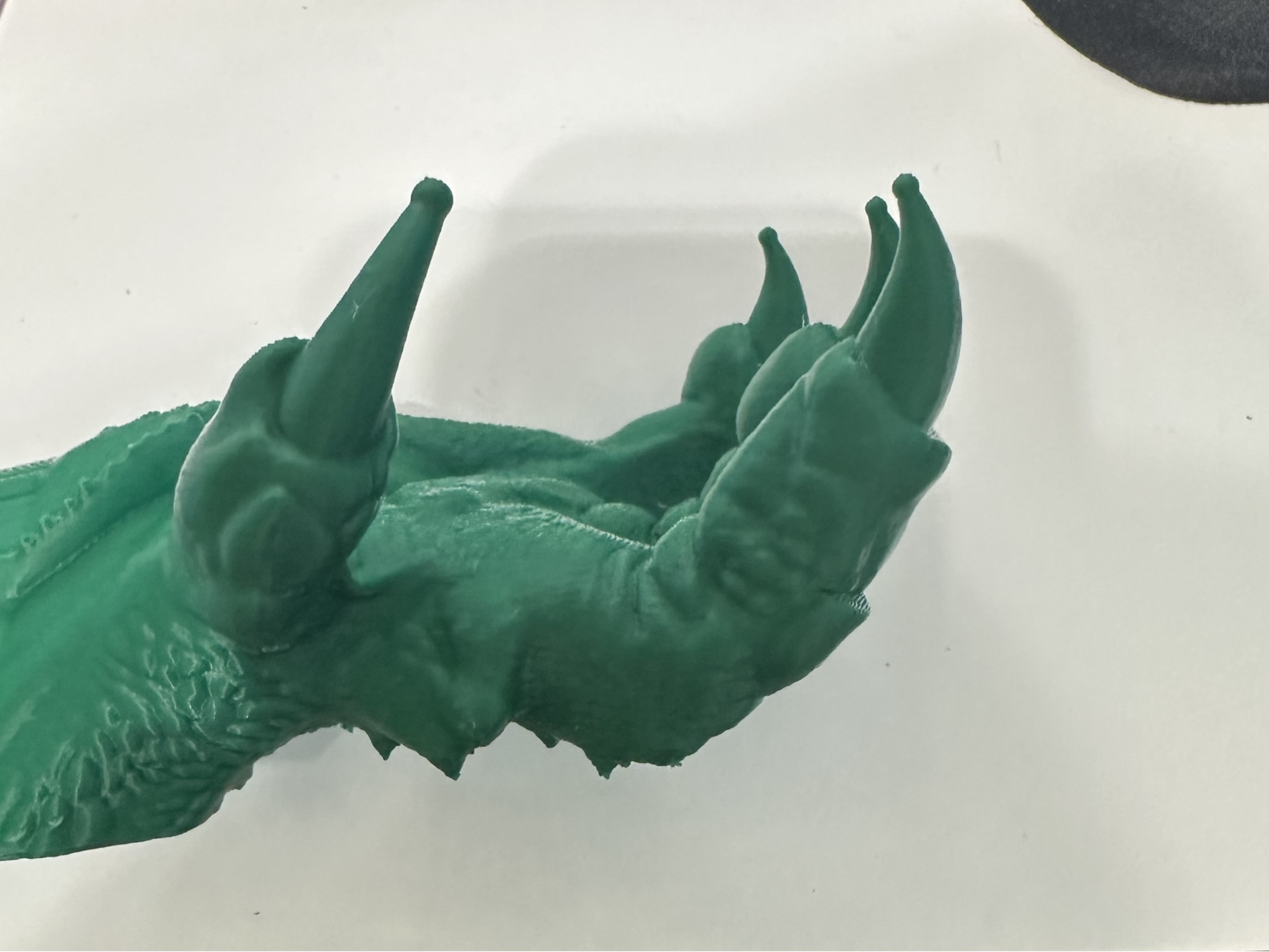 Dragon Claw Back Scratcher