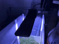 0.2mm layer, 2 walls, 35% infill