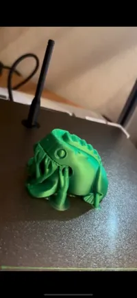 Grenouille à percussion — photo 5