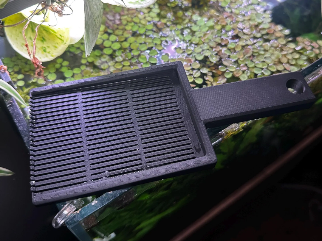 Aquarium Duckweed Scoop | Floating Plant Remover