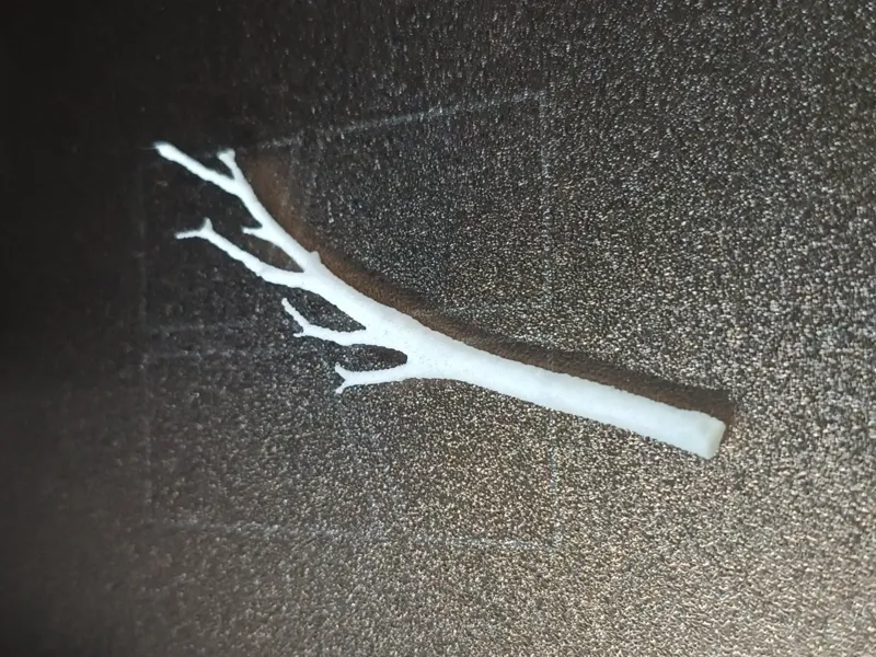 Branch, Stick, Tree