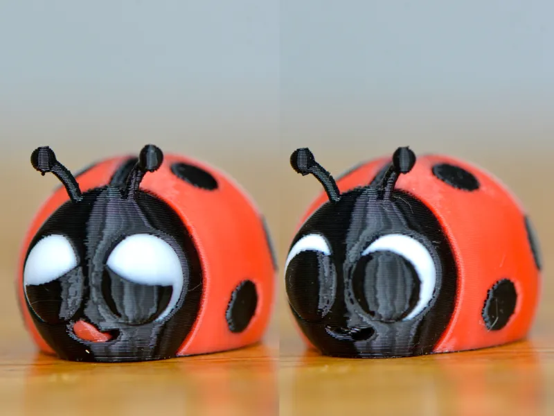 Cute Ladybug Duo: Gourmet & Sweet - AMS