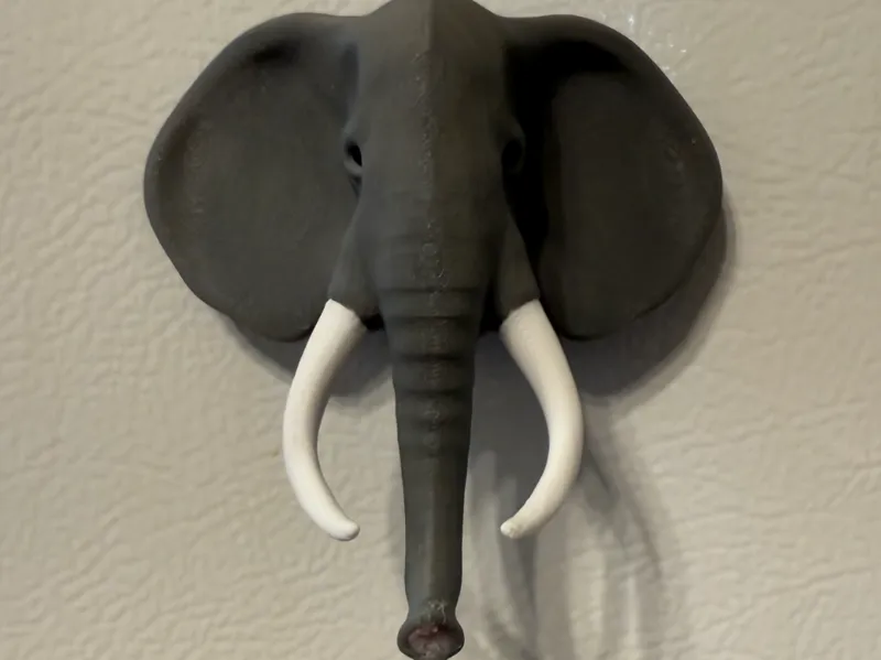Elephant magnet
