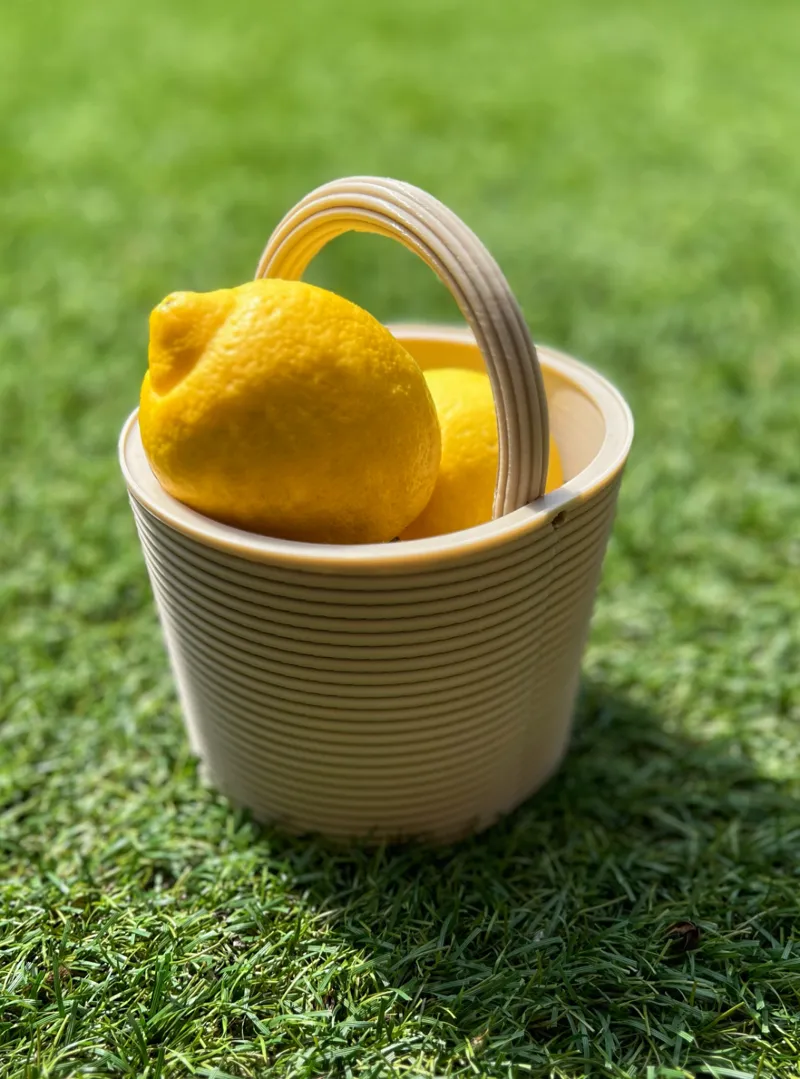 Vimini Bucket