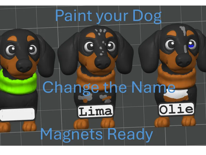 Weiny magnet dog