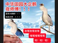 0.16mm 层高, 3 层墙, 15% 填充